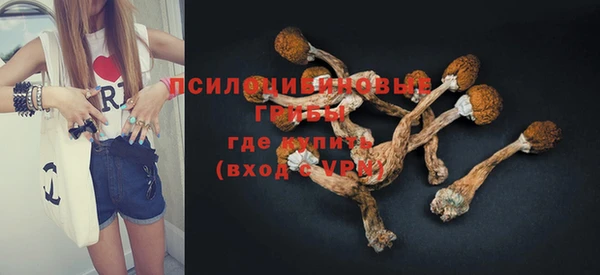 тгк Вяземский