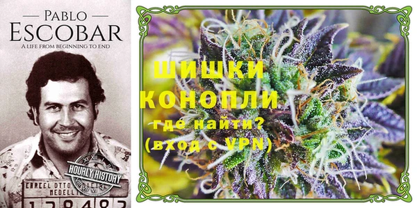 спиды Горно-Алтайск