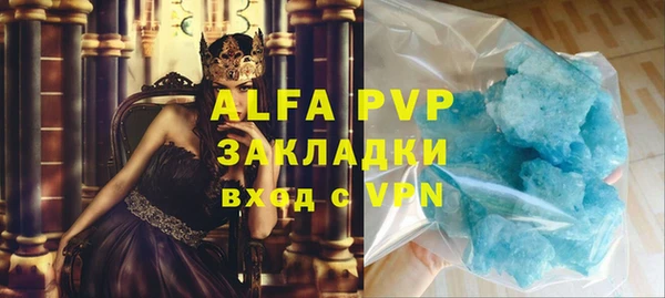 прущие крисы Горняк