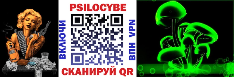 купить закладку  Зерноград  даркнет официальный сайт  Галлюциногенные грибы прущие грибы 
